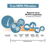 True HEPA Replacement Air Purifier Filter 2 Pack 30615 - Image 2